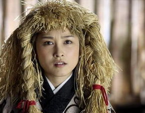 宰相刘罗锅的刘夫人做了一件什么事让皇上放弃喜欢她了?