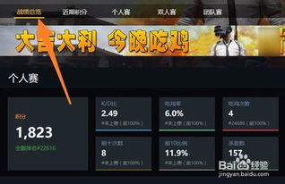 绝地求生战绩查询app,绝地求生战绩怎么隐藏