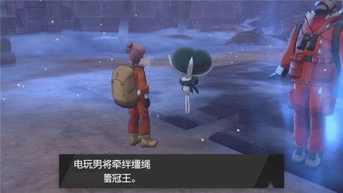 蕾冠王被称为什么?