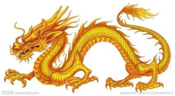 中国真实龙图片