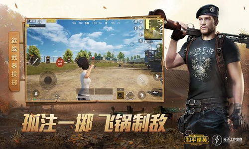 和平精英画质助手120帧,和平精英画质助手120帧下载安装官方