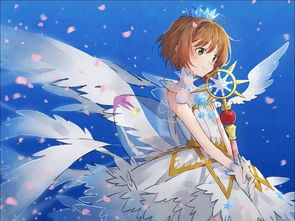 魔卡少女樱知世壁纸!谢谢