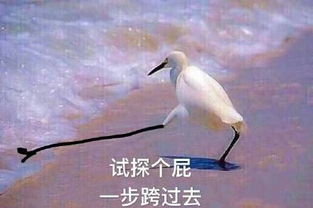 试探的意思是什么 试探的意思简单介绍