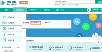 网上国网怎么交电费