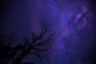星空物语是什么意思,星空物语魔武大陆中小说