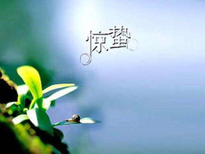 惊蛰是什么意思