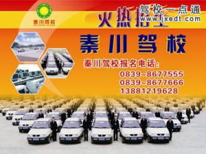驾校一点通和驾考宝典哪个好一点,驾校一点通vip有必要买吗