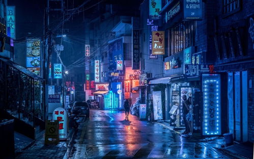 赛博朋克是什么意思
