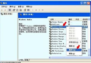 万能声卡驱动win10,万能声卡驱动器官方免费下载