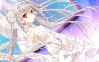 近月少女的女主是谁?