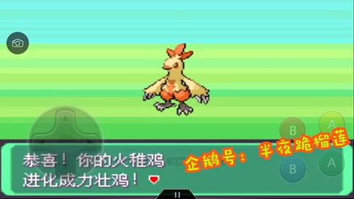 《口袋妖怪》御三家精灵配招推荐奉上!(六代篇)