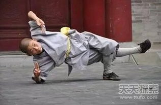 英雄群侠传2袈裟伏魔功,袈裟伏魔功怎么练