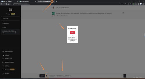 什么是语音网站?
