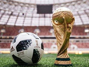 什么是国际足联世界杯?