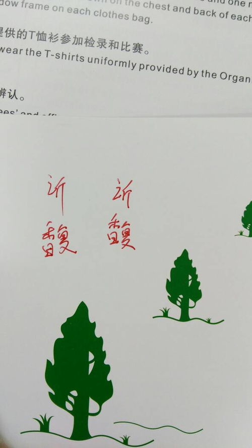 胧的读音和组词