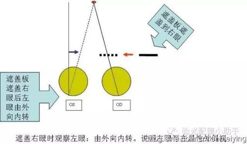 LOL不容忽视的眼位问题实战中眼位的具体应用
