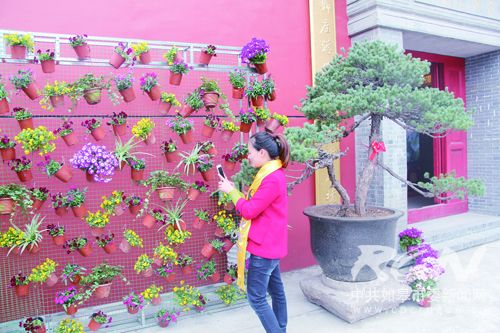 花朝节活动策划,幼儿园花朝节活动