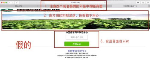 新商盟网站登录,新商盟网站开放时间