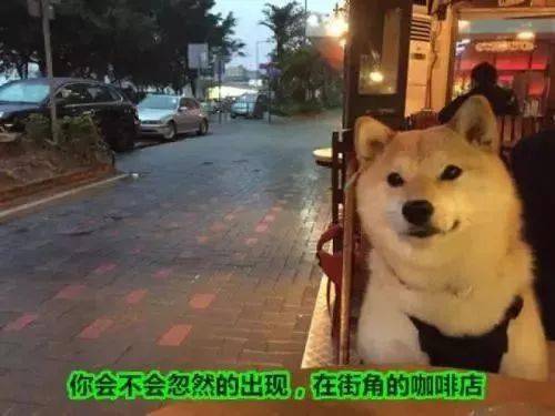 用这个图片当头像的男生是单身的可能性大吗?
