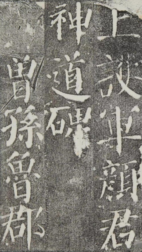过庭之训的成语解释及意思