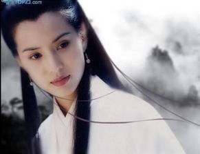 杨过小龙女小说全文阅读,小龙女不女车长