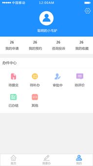 政务APP开发的建设思路实在怎样的呢