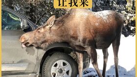 河马洗车加盟多少钱,河马洗车官网