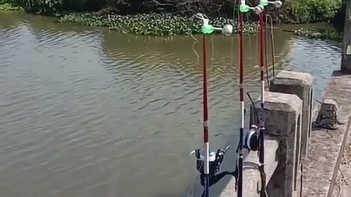 自动弹簧钓鱼竿的使用方法