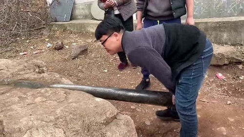 只要功夫深 铁杵磨成针的全诗是什么?