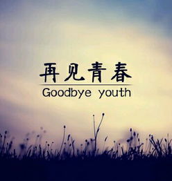 歌词里有再见了青春再见了我的梦的是什么歌