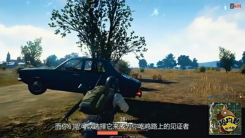 吃鸡武器大全介绍图片,吃鸡武器大全介绍视频